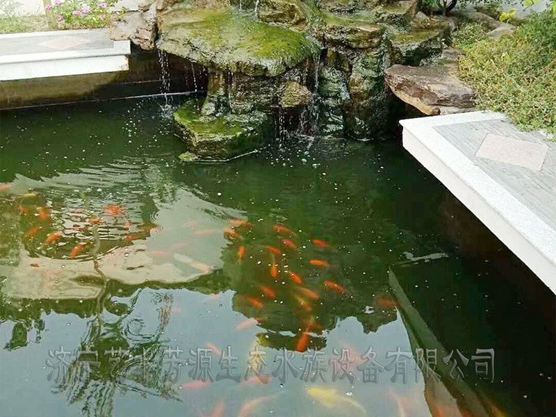 东营景观池刷净安装净化系统
