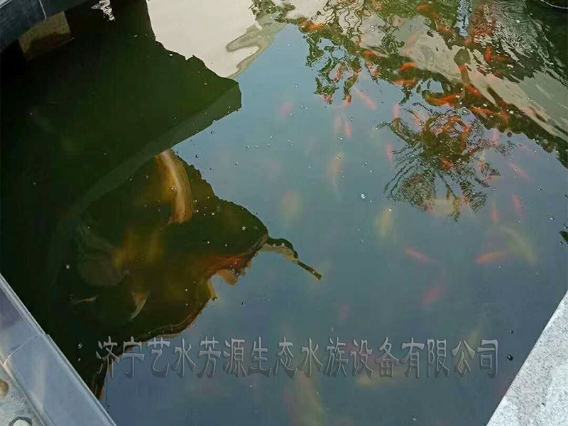 东营景观池刷净安装净化系统