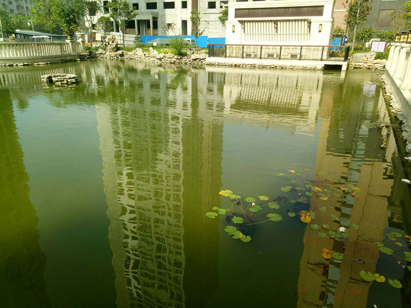 案例展示 (1).jpg