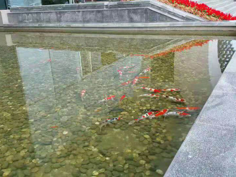 案例展示 (3).jpg