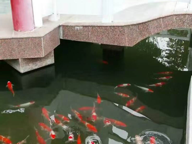 案例展示 (4).jpg