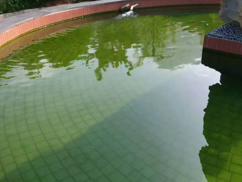 案例展示 (8).jpg