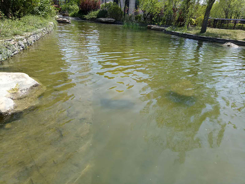 案例展示 (12).jpg