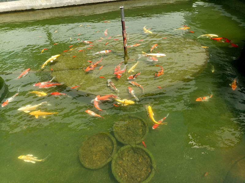 案例展示 (14).jpg