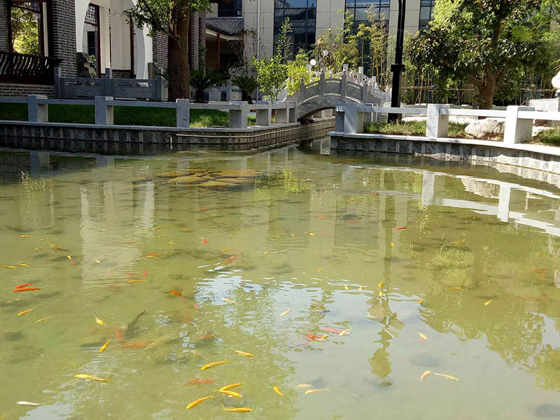 案例展示 (15).jpg