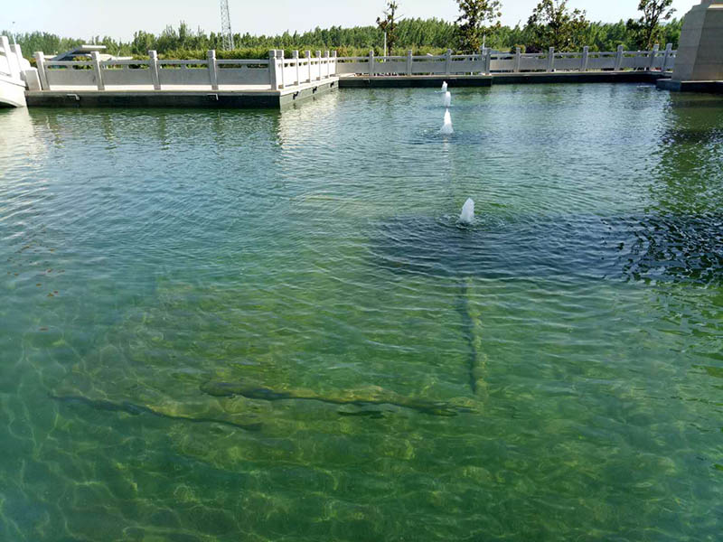 威海鱼池水处理水净化水循环设备