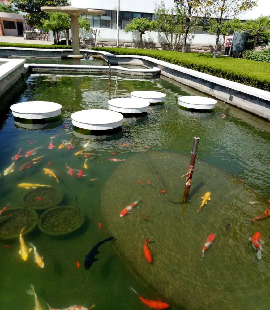 如何分辨假冒产品