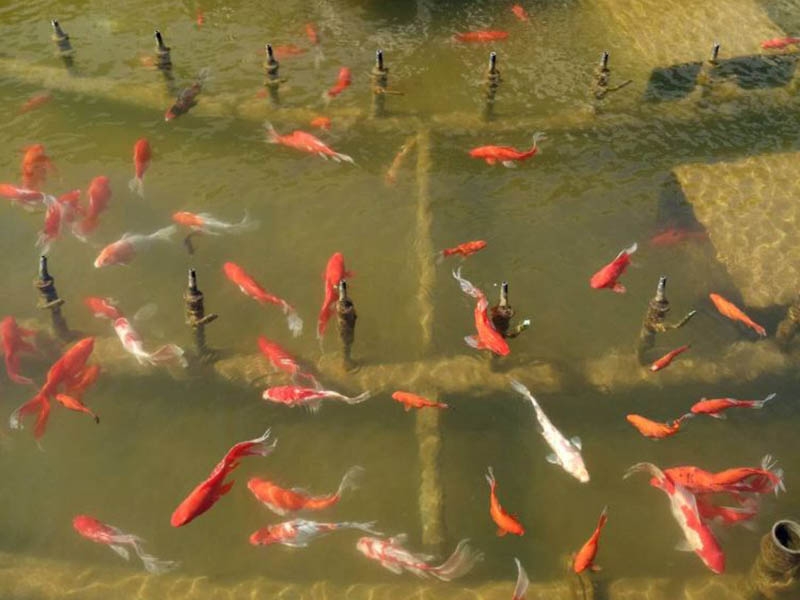 青岛啤酒三厂安装实例