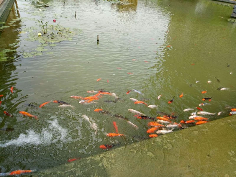 万达安装前后对比效果图