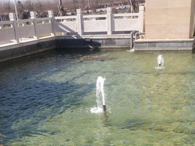 潍坊鱼池水处理池塘水净化水循环设备