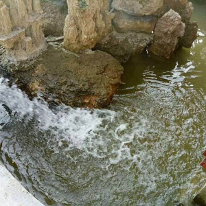 艺水芳源_枣庄别墅