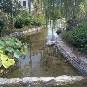 艺水芳源_潍坊泰和上筑