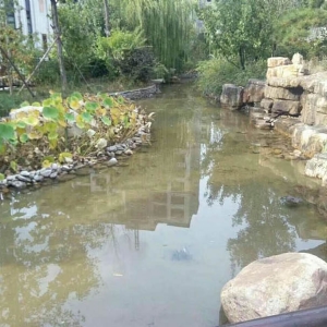 艺水芳源_潍坊泰和上筑