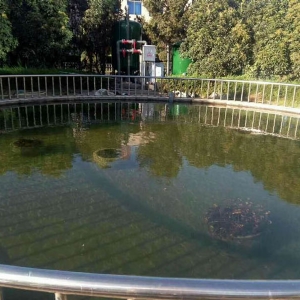 艺水芳源_龙口海天酒店