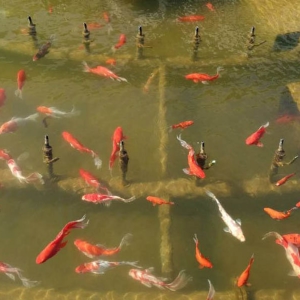 青岛啤酒三厂安装实例