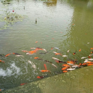 万达安装前后对比效果图