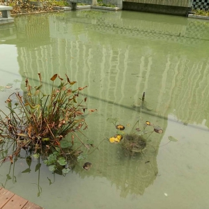 万达安装前后对比效果图