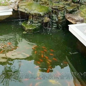 东营景观池刷净安装净化系统
