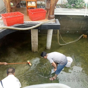 东营景观池刷净安装净化系统