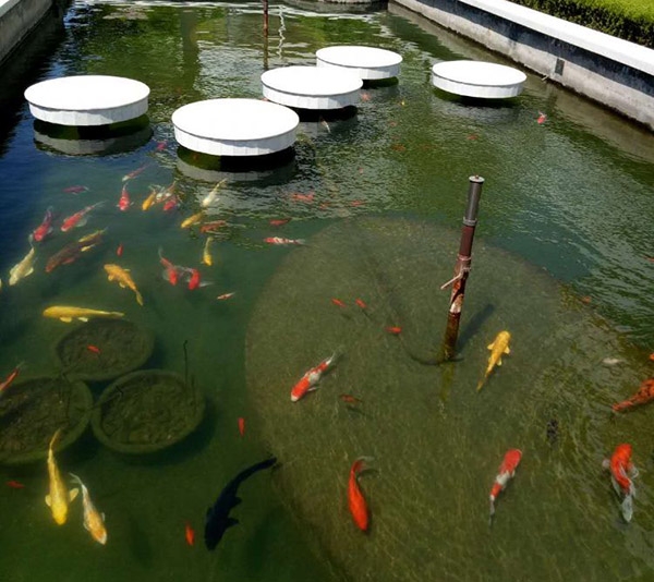 戳我试试