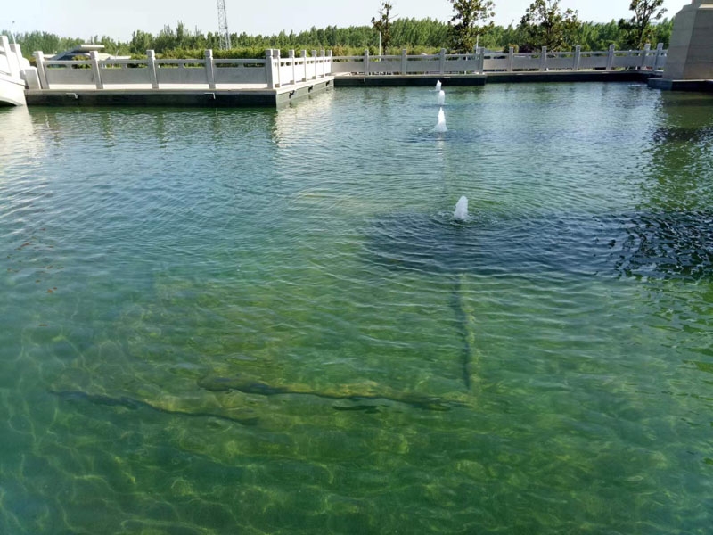 济宁艺水芳源鱼池过滤器客户实地效果展示